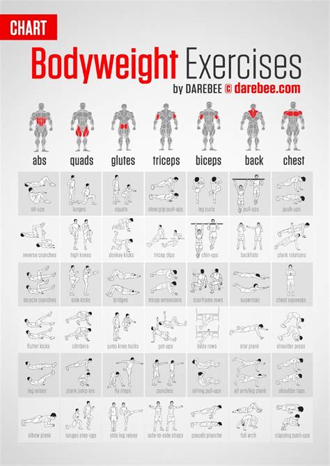 227 bodyweight exercises pdf free download  Product